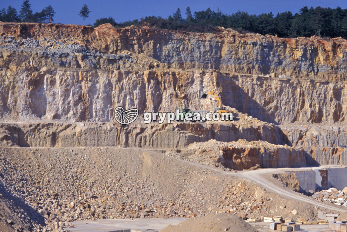 Enlèvement couches stériles - gryphea.org